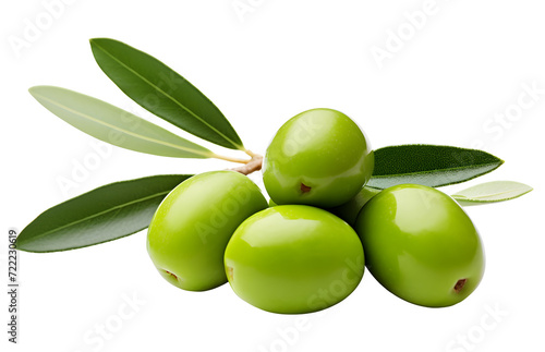 Wallpaper Mural Olive png olives png olive branch png olives branch png branch of olive png branch of olives png green olive branch png green olive png Olive transparent background Torontodigital.ca