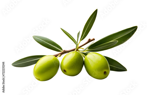 Olive png olives png olive branch png olives branch png branch of olive png branch of olives png green olive branch png green olive png Olive transparent background