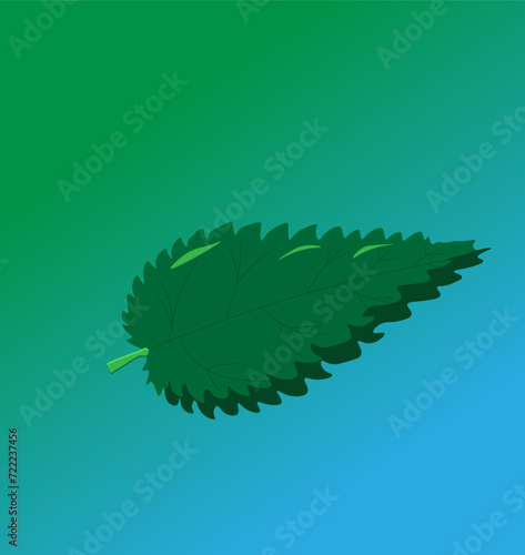 nettle leaf carved green on a green-blue background