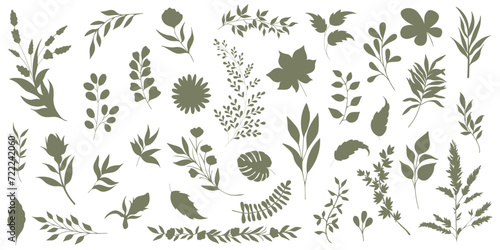 Set of elegant silhouettes of flowers  branches and leaves. Thin hand drawn vector botanical elements
