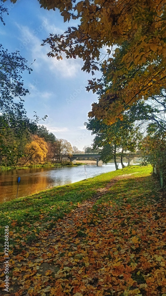 autumn in the park