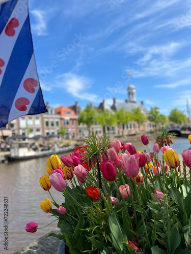 Tulips with a frisian flag at the canal in Dokkum photo