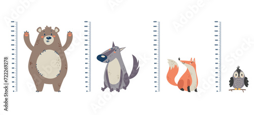 Kids growth rulers with jungle animals set. Vector flat graphic design illustration	