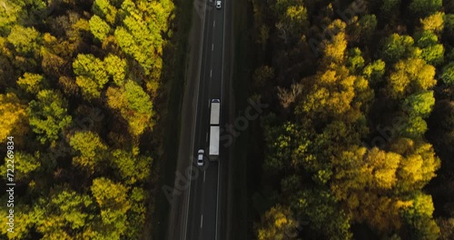 One Semi Truck with white trailer and cab driving, traveling alone on dense flat autumn yellow forest asphalt straight road, highway top down view follow vehicle aerial footage. Freeway trucks traffic
