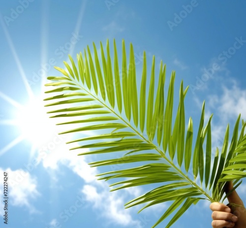 Palm Sunday illustration. Someone is holding palm leaves against a blue sky background with empty space for copy and text photo