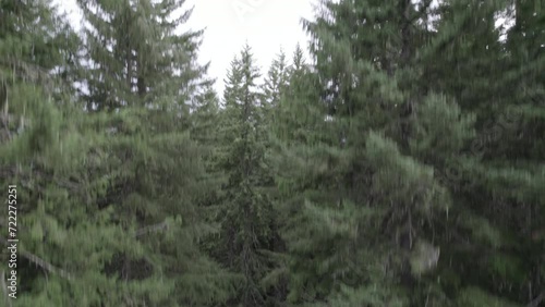 Ungraded 4k wide-angle aerial footage increasing altitude above Gifford Pinchot National Forest revealing scenic view of Mt. Rainier on a cloudy day in Washington State.