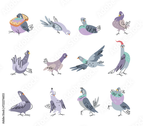 Funny pigeon set. Emotional dove in various poses. Isolated cartoon pigeons flying, eating, go to bed. Cute wild birds nowaday vector characters