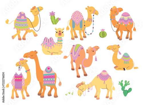 Camels characters cartoon set. Desert animals, funny camel with carpet and saddle. Arabian animal, children cute nowaday vector collection