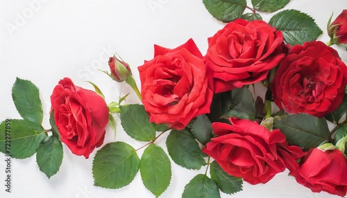 Red roses on white background. Flat lay, top view, copy space © Євдокія Мальшакова