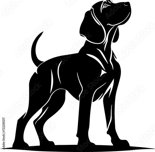 Bloodhound