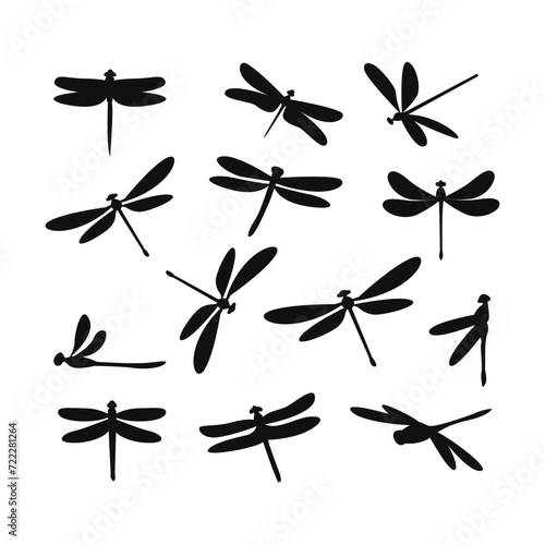 Set of silhouettes of dragonfly insect vector isolated in white backgroun