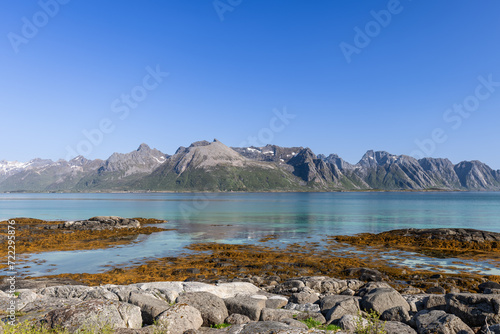 Wallpaper Mural Serene beauty of the Lofoten Islands in Norway, showcasing the clear turquoise waters of the Norwegian Sea, contrasting with the rugged peaks of the mountains that rise dramatically in the background Torontodigital.ca