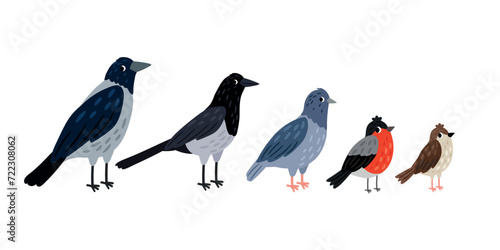 Crow, magpie, pigeon, bullfinch, sparrow stand next to each other. Collection of cute birds on white background vector illustration