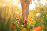 Back view of woman legs waking bare feet through flowering meadow. Sunny summer evening, enjoying nature.