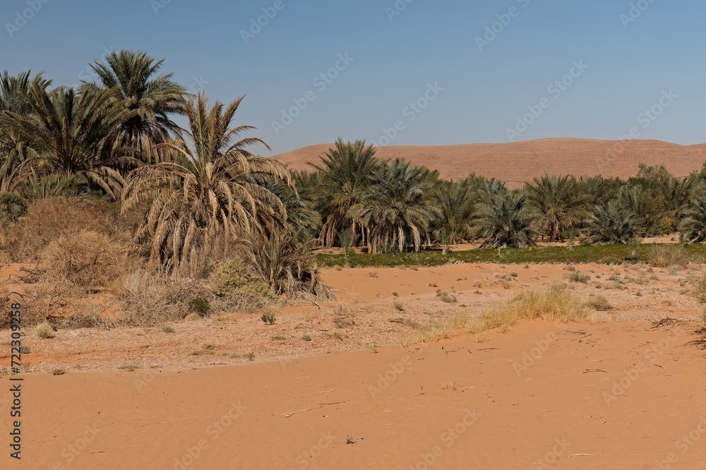 Landscape around Sebseh city. Sahara desert. Algeria. Africa. Landscape around Sebseh city. Sahara desert. Algeria. Africa.