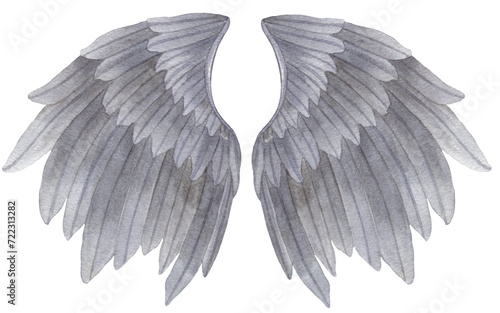 Watercolor grey Angel Wing illustration. Hand painted wing with grey feathers for prints, banners