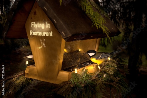 Bird´s Flying In Restaurant