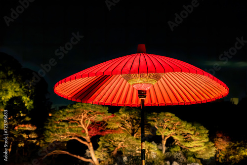 An Umbrella in Rikugien Garden at Night, Tokyo, Japan photo