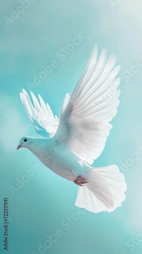 a white dove is flying in the sky in light sun rays © Наталья Добровольска