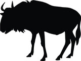 Silhouette of wildebeest