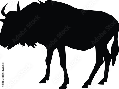 Silhouette of wildebeest photo