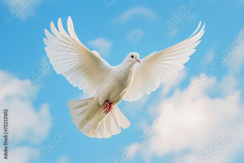 a white dove is flying in the sky in light sun rays
