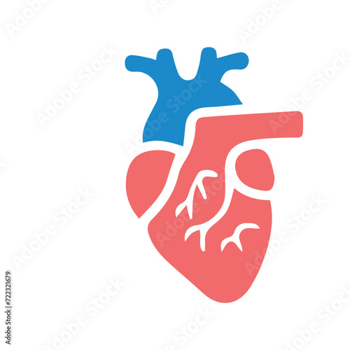 Human anatomy internal organ set with brain lung intestine heart kidney liver and stomatch photo