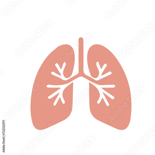 Human anatomy internal organ set with brain lung intestine heart kidney liver and stomatch