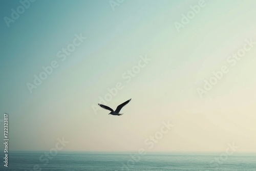 A majestic sea gull gracefully soars over the tranquil ocean, its wings gliding effortlessly through the open sky as it embarks on its annual migration journey