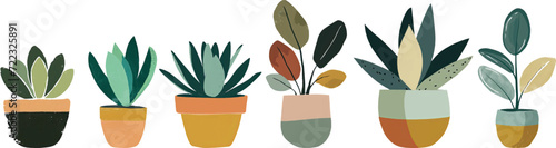 Set of succulent house plants in pot. simple flat hand drawn plants Elements illustration