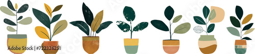 Set of Indoor leaf plant in pot. simple flat hand drawn plants Elements illustration