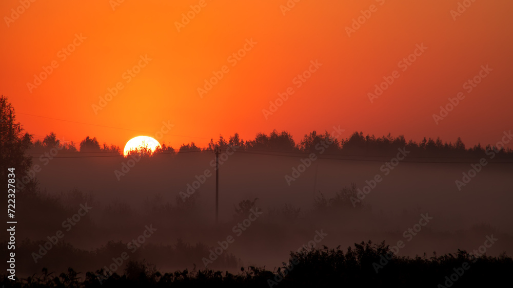Sunrise sun over forest. Summer landscape in morning with fog. Golden hour in nature.