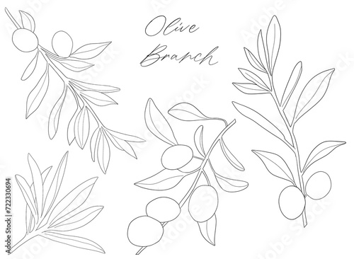 Set of watercolor olive branches with leaves. Hand drawn watercolor olive branches. Olive fruits on white background
