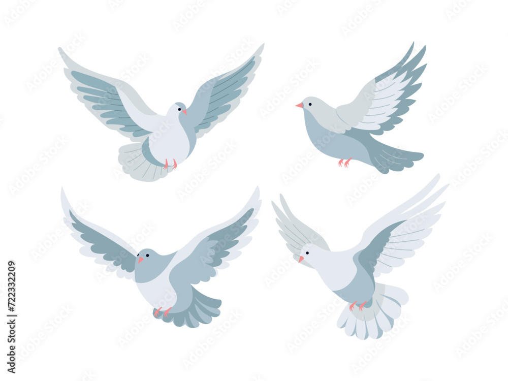 Pigeons in flight. Kit. Pigeons in flight. Kit.