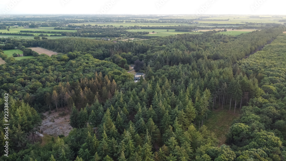 Aerial drone view of forest landscape in The Netherlands on a sunny summer day. Woodland woods landscape captured from above. Aerial drone view of forest landscape in The Netherlands on a sunny summer day. Woodland woods landscape captured from above.