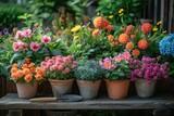 Vibrant garden flowers in pots, gardening concept. Ideal for garden centers or horticulture guides. 