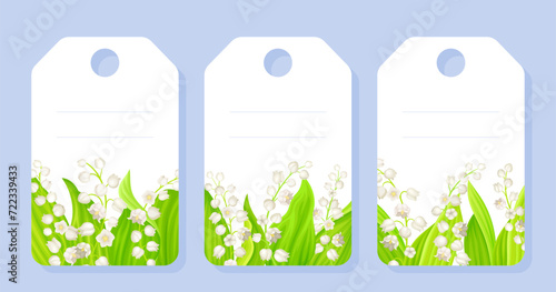 Tag with Lily of the Valley Blooming Flower Vector Template