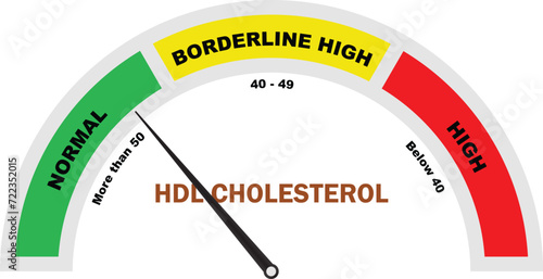 HDL Cholesterol Level, Cholesterol Test, HDL Cholesterol Test, Cholesterol meter icon, Medical Diagnostic Tool