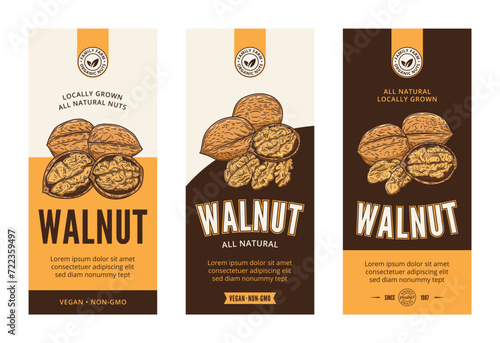 Vector walnut labels in modern style. Vector walnut nut illustrations