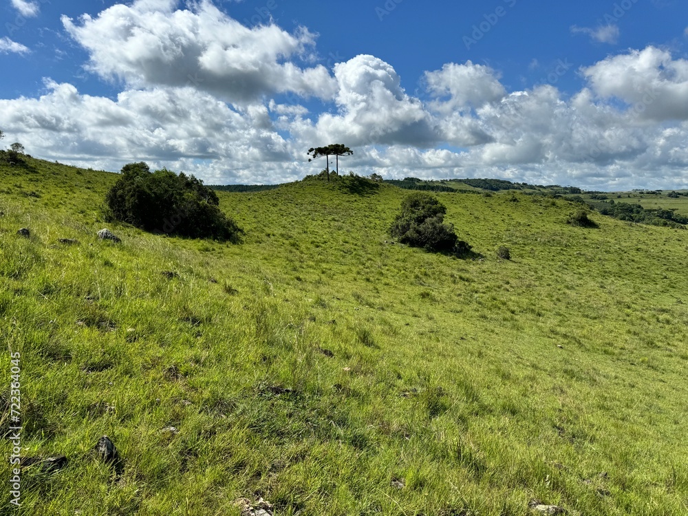 Obraz premium fazenda pecuária