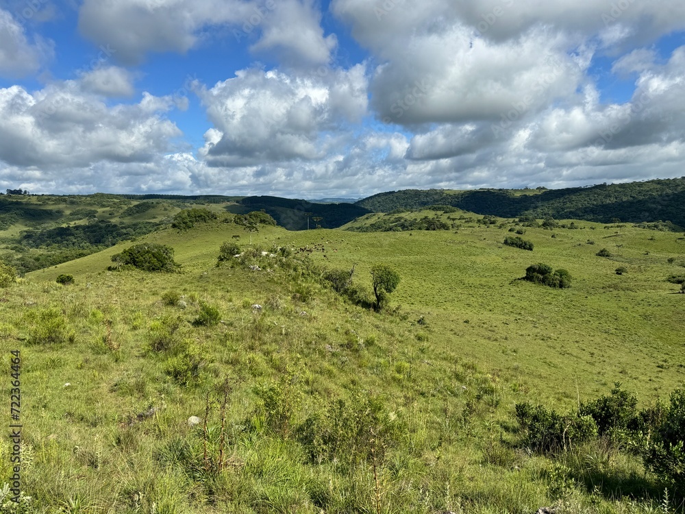 Obraz premium fazenda pecuária