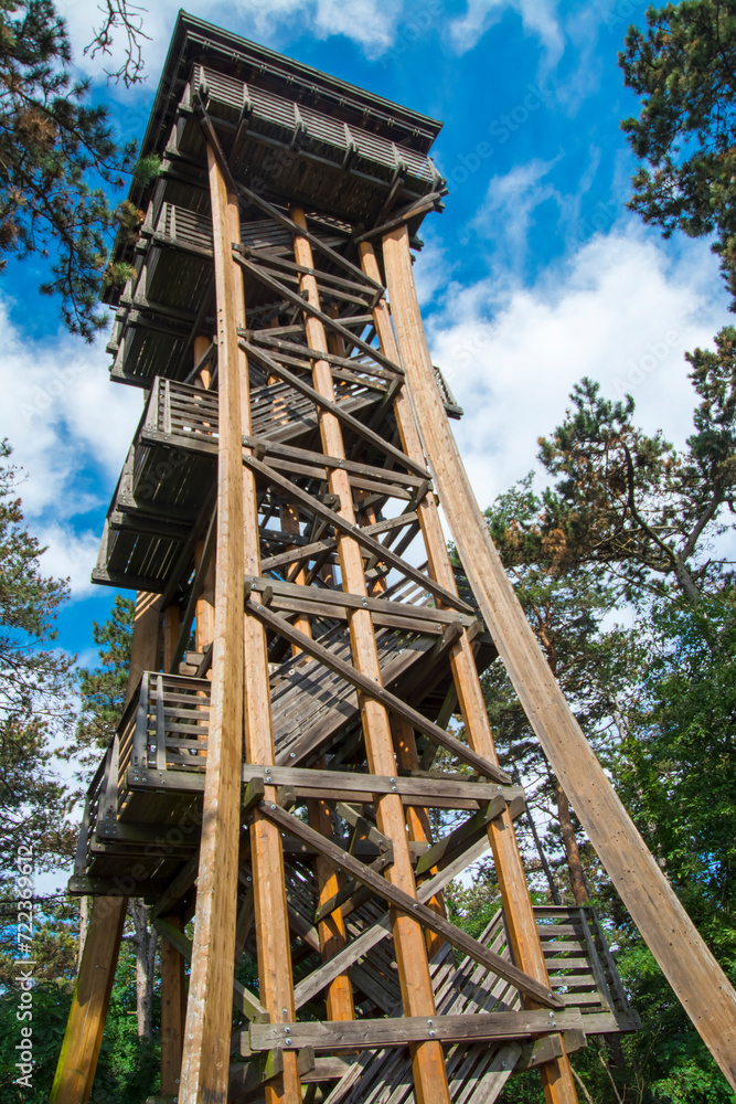 Structure of the lookout tower near Sopron Structure of the lookout tower near Sopron