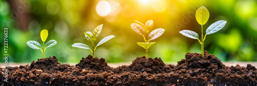 Planting New Life, Young Tree Saplings in Soil, Spring Gardening Concept, Green Nature and Agriculture, Fresh Seedlings Growing, Environmental Ecology, Sunlit Earth, Germination Process