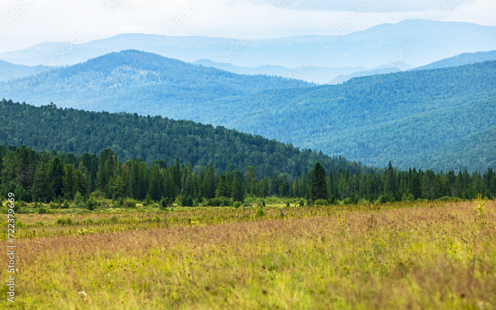 Fototapeta premium Altai landscapes 