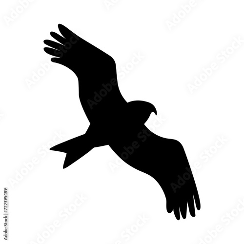 Hawk flying. Vector black drawing silhouette image.