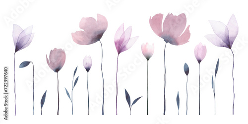 A set of watercolor flowers isolated on a white background, hand-drawn. Botanical illustration of primroses in pink and lilac shades. An element for a holiday, design, decoration, wedding, decoration.