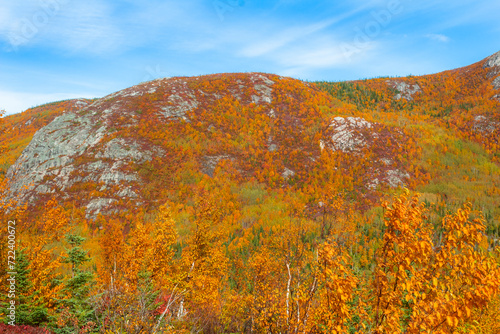 autumn landscape in the mountains