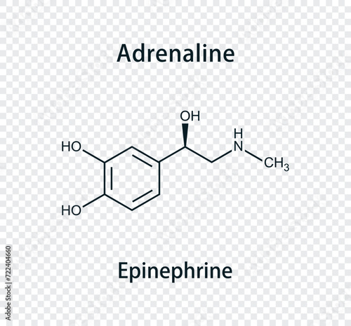Adrenaline (Epinephrine) chemical structure vector illustration. Isolated on transparent background.