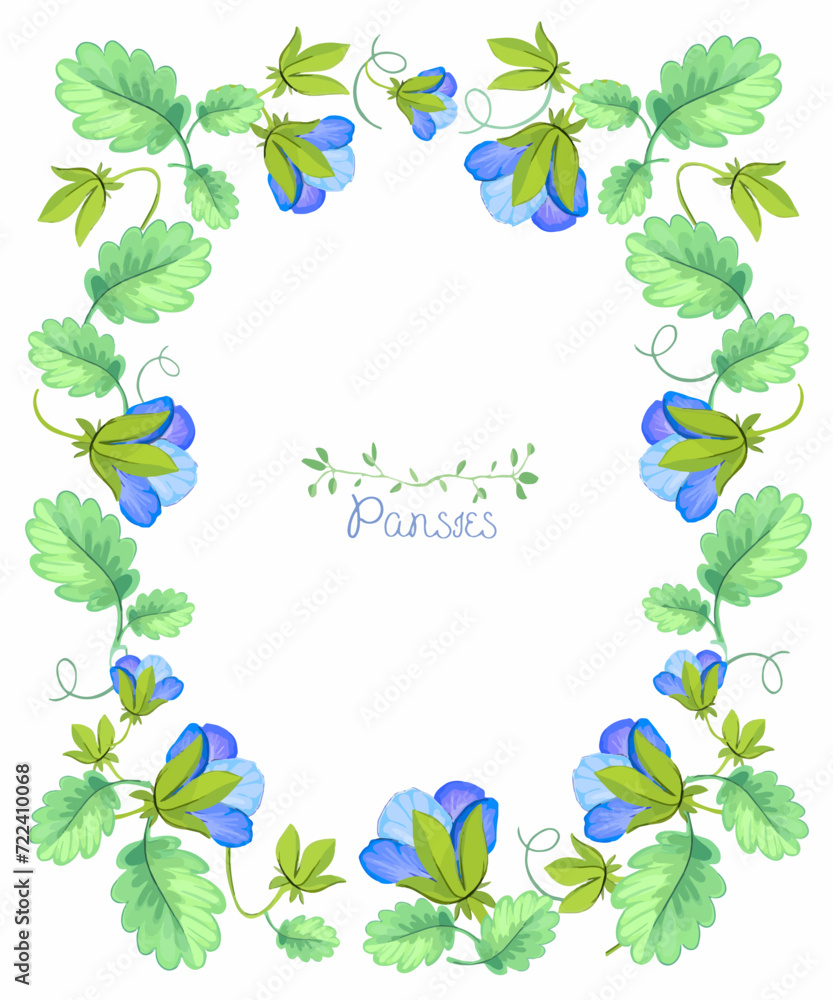 Frame, background with pansies. Spring garden flowers and plants. Blue petals and buds on a white background. Vector.