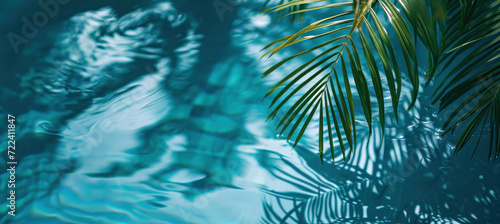 Palm fronds cast a delicate dance of shadows upon the tranquil surface of a pool, evoking a sense of calm and tropical elegance.